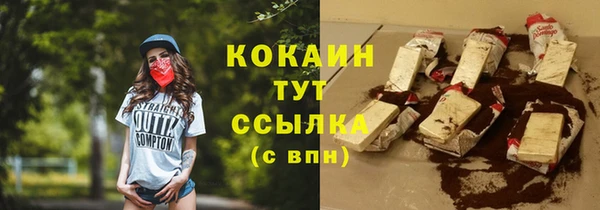 индика Балахна