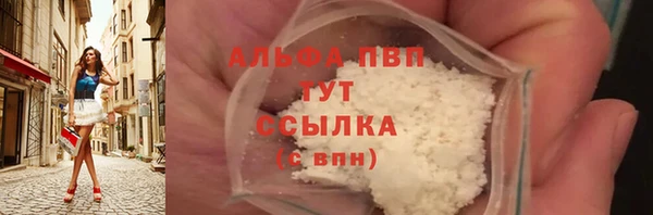 индика Балахна