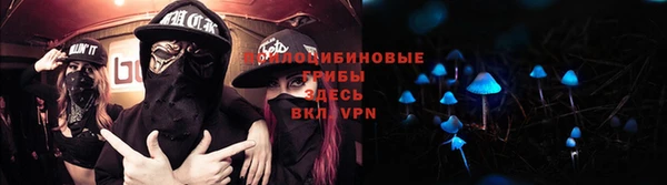 стафф Баксан