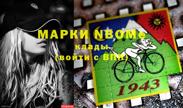 индика Балахна
