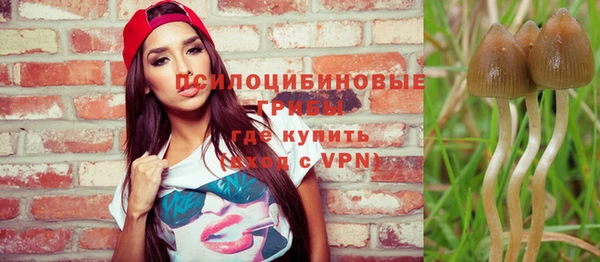стафф Баксан