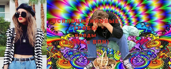 индика Балахна