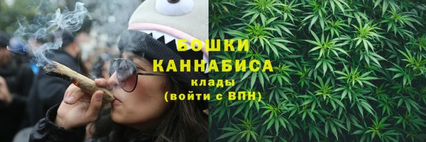 индика Балахна