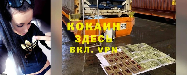 индика Балахна