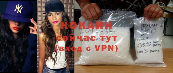 индика Балахна