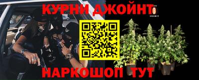 гидра Бузулук