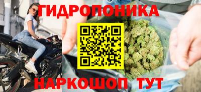 гидра Бузулук