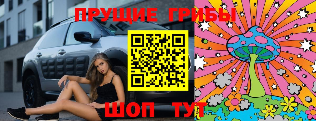 наркота  Вход с VPN  Бор  Галлюциногенные грибы Psilocybine cubensis 